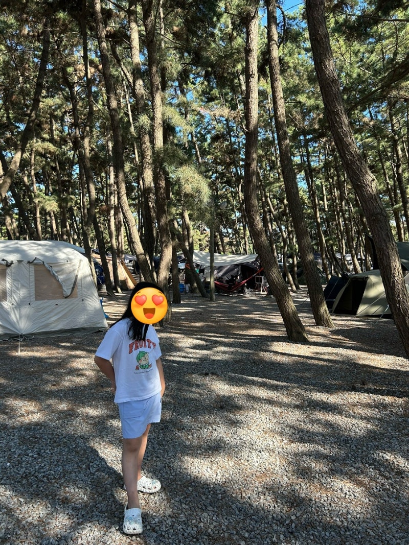 태안 몽산포 오션캠핑장 명당 선착순 방문 후기 / 몽산포 오션캠핑장 명당 선착순방문 몽산....