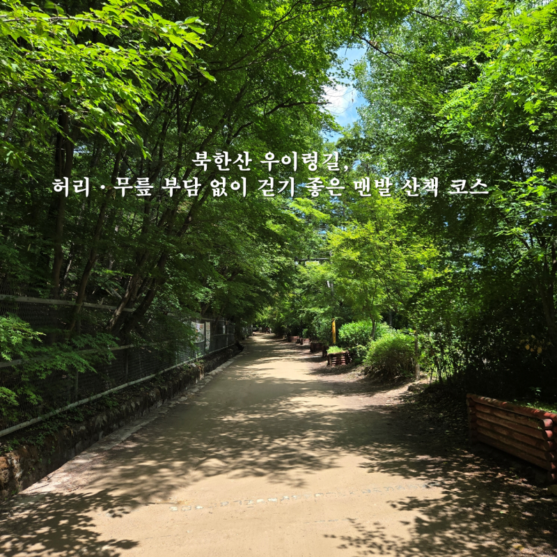 북한산 우이령길, 허리 · 무릎 부담 없이 걷기 좋은 맨발 산책 코스