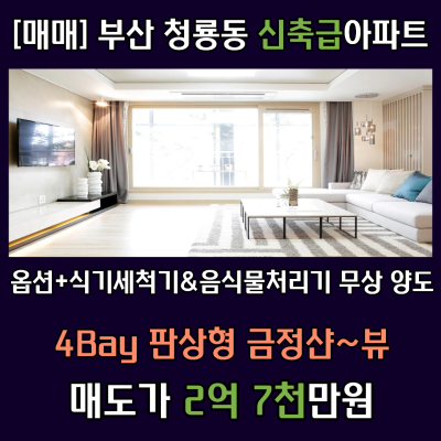 [아파트매매] 부산 청룡동 지하철 도보8분 ★ 신축판상형 79B 타입 ★금정산뷰★옵션좋음-무상양도