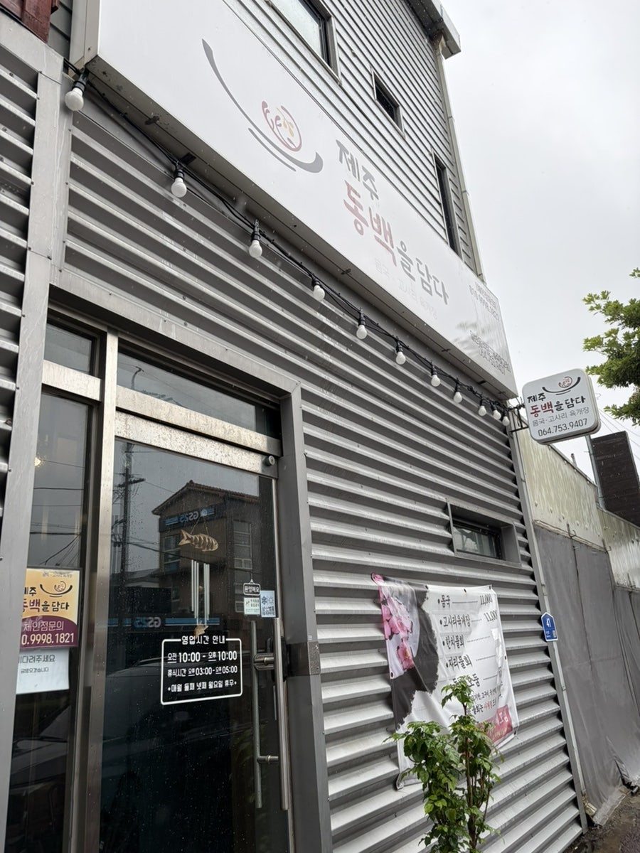 제주동백을담다 사진 2