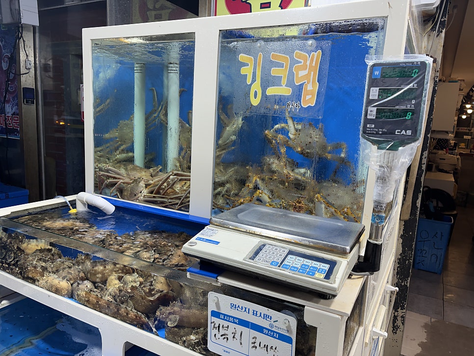 진산수산 사진 3