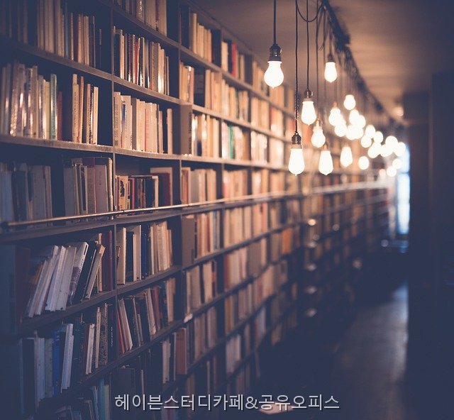 헤이븐 사진 3