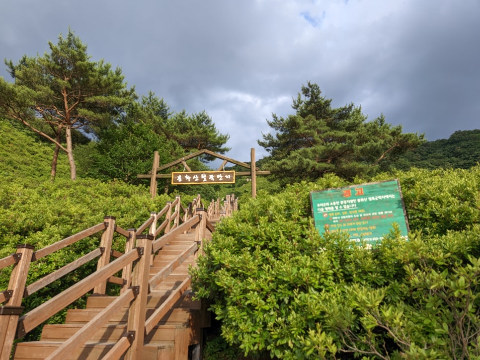 봉화산 사진 5