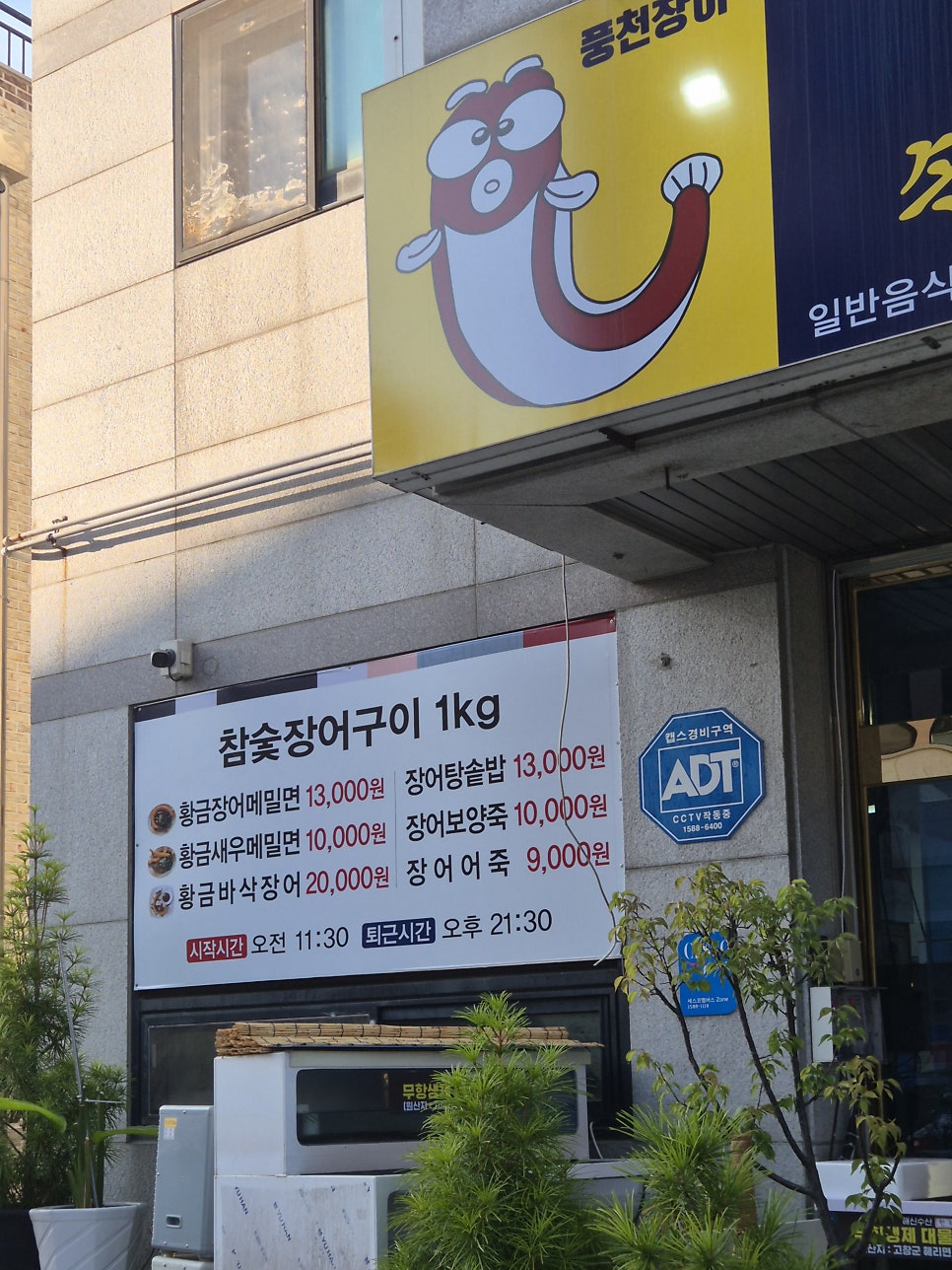 꼬리치는장어 사진 2
