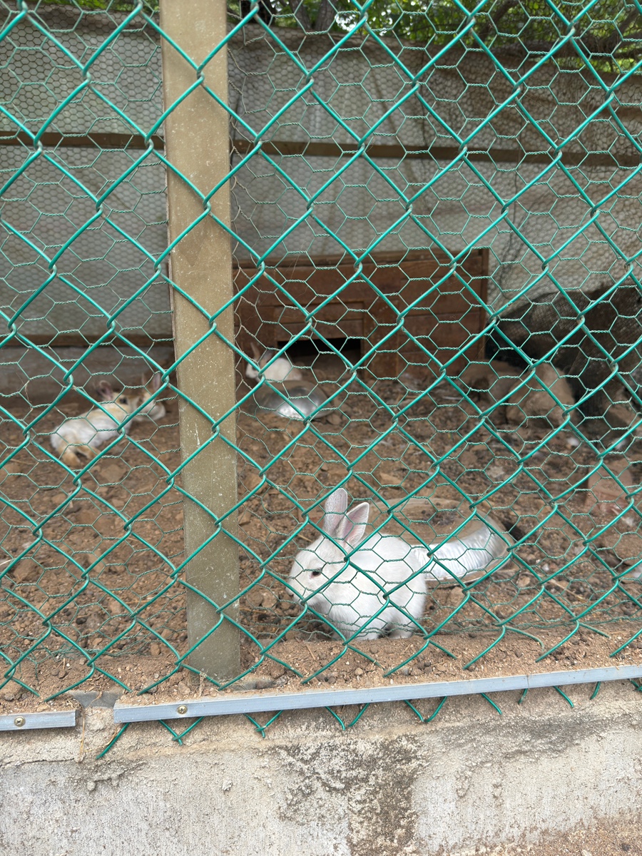 호명나루165풀빌라 사진 4