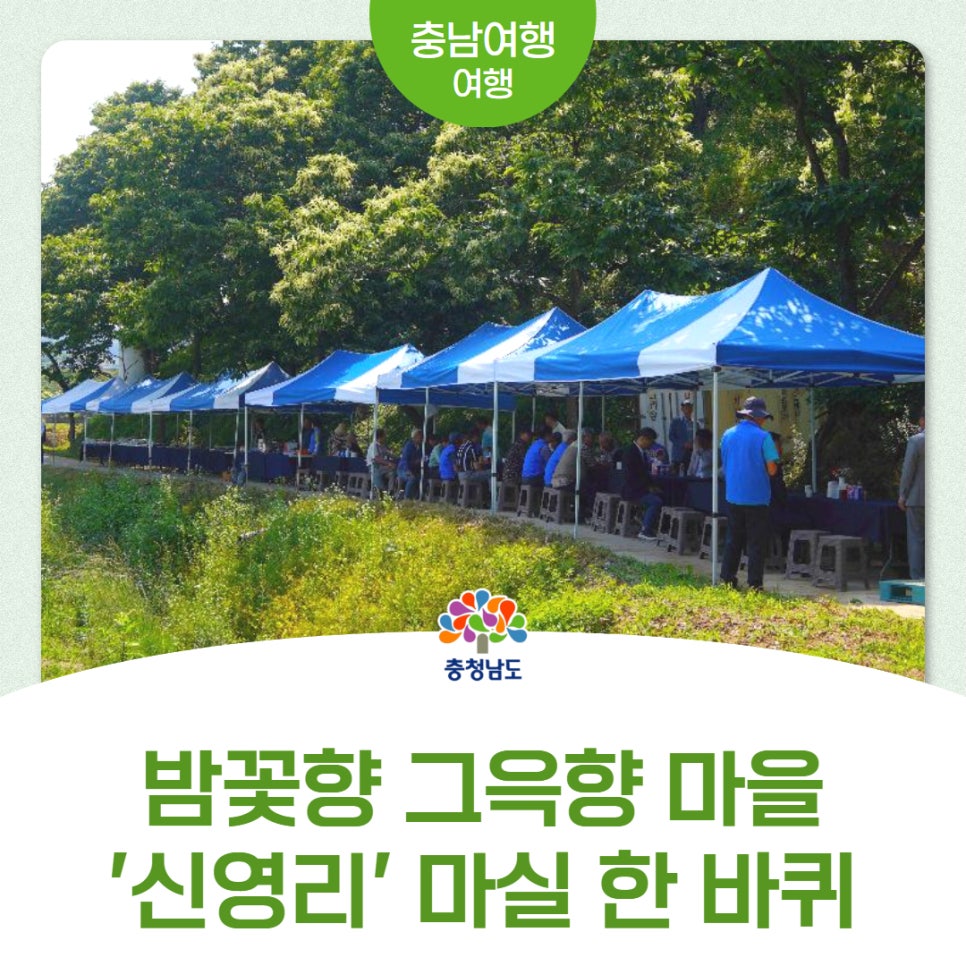 꽃향기 사진 1