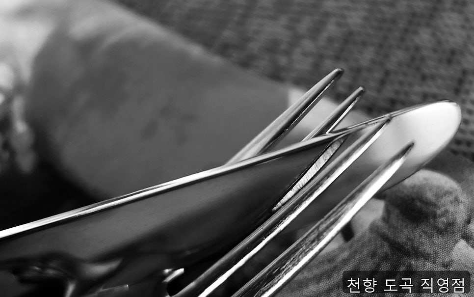 천향 사진 2