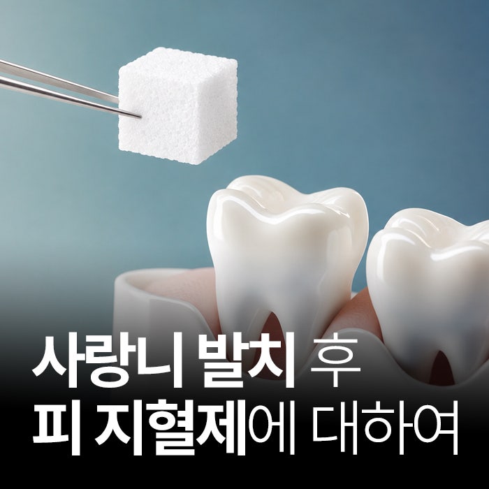 사랑니 피 지혈제 선택, 고민하고 계신다면?