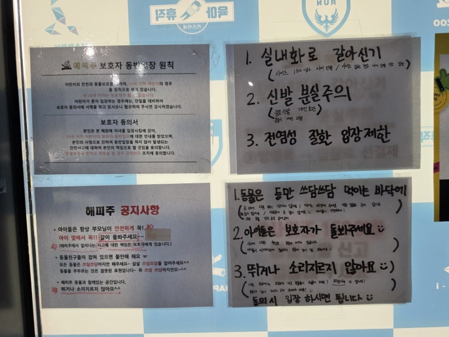 해피주동물카페 원주점 사진 5