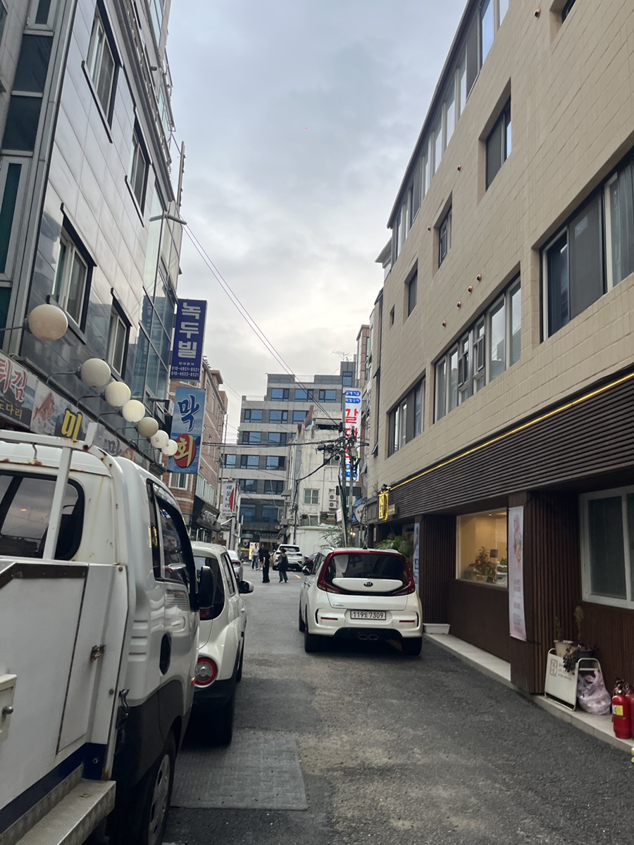 갈대포 사진 3