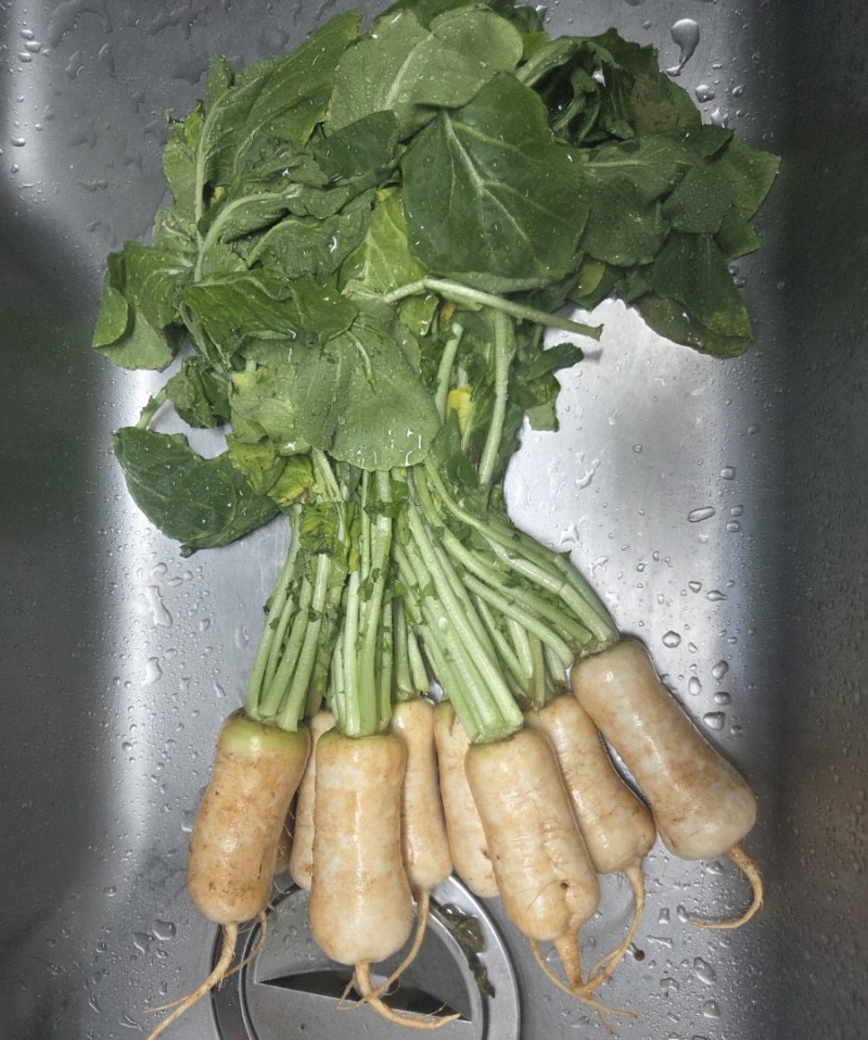 알타리무 총각김치 만들기 (손질, 양념장)