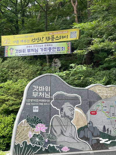 솔매기2 사진 4