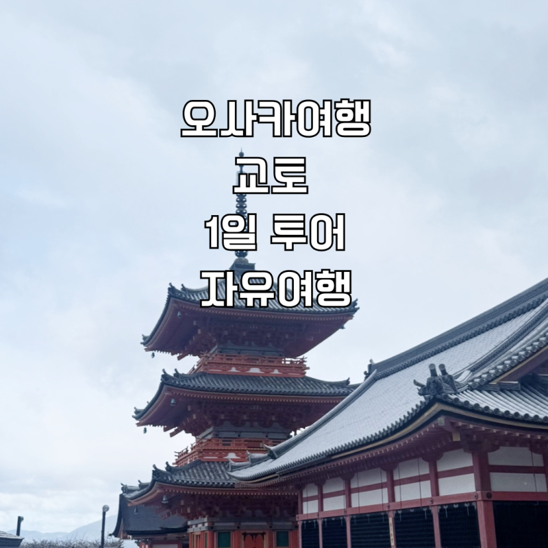 오사카에서 교토 당일치기 코스｜뚜벅이·택시로 다녀온 1일 자유여행
