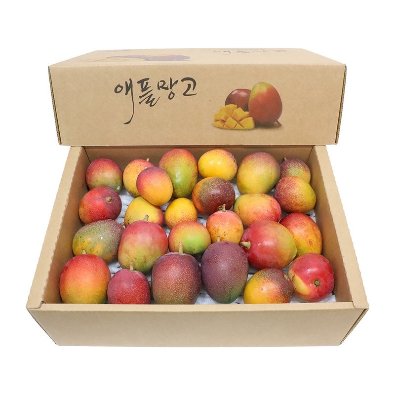 삼다몰 제주 애플망고 선물세트, 한 달간 맛본 최상의 달콤함