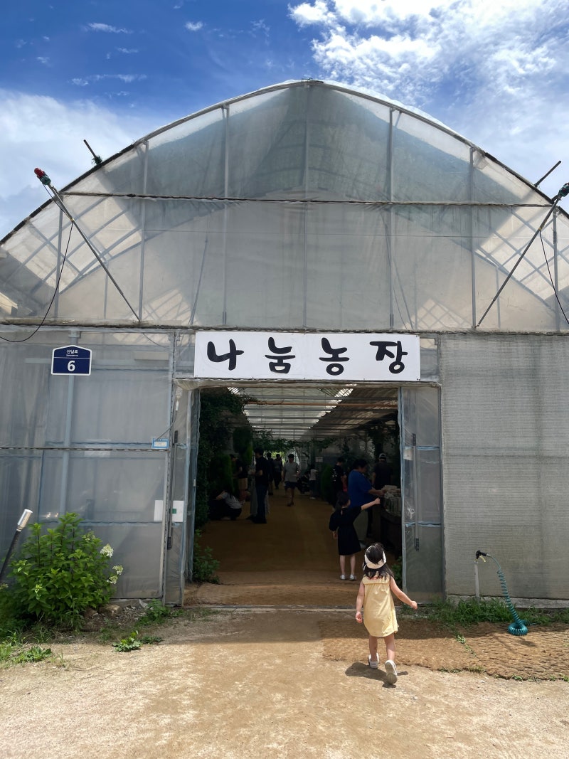 파주 나눔농장 3살6살 아이랑 언제가도 좋은 주말나들이