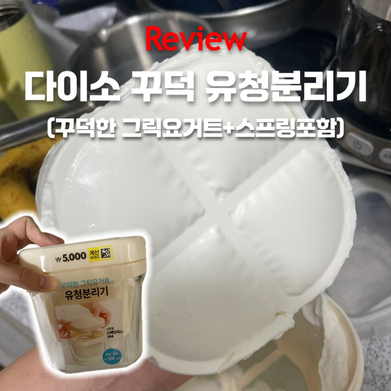 다이소 그릭요거트 메이커(스프링형) 솔직 리뷰: 가성비 갑!