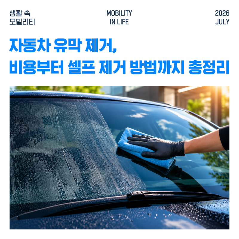 자동차 유막 제거, 비용부터 셀프 제거 방법까지 총정리