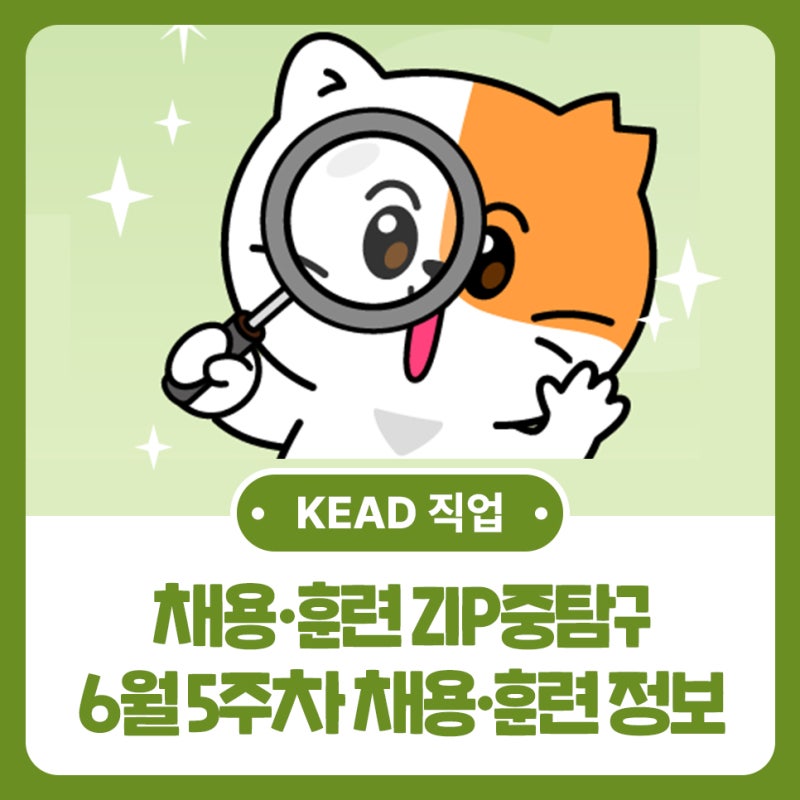 한국장애인고용공단이 전하는 6월 5주차 채용·훈련 ZIP중 탐구