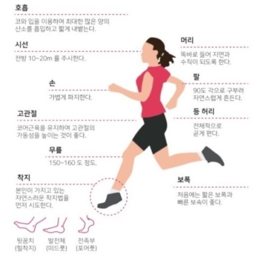 러닝화 추천 TOP 5: 입문자·무릎 보호·장거리까지 내돈내산 솔직 비교 후기 (시즌2)블로그 이....