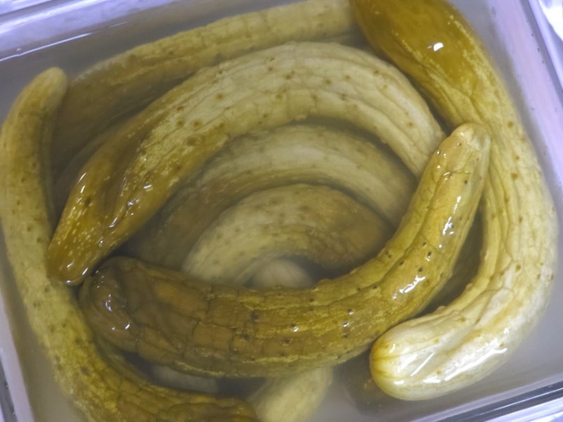 제각각 오이로 오이지 담그는 법 소금 절임 레시피