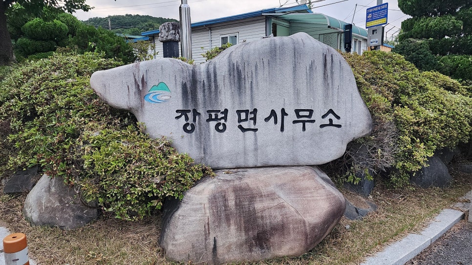 면사랑 사진 4