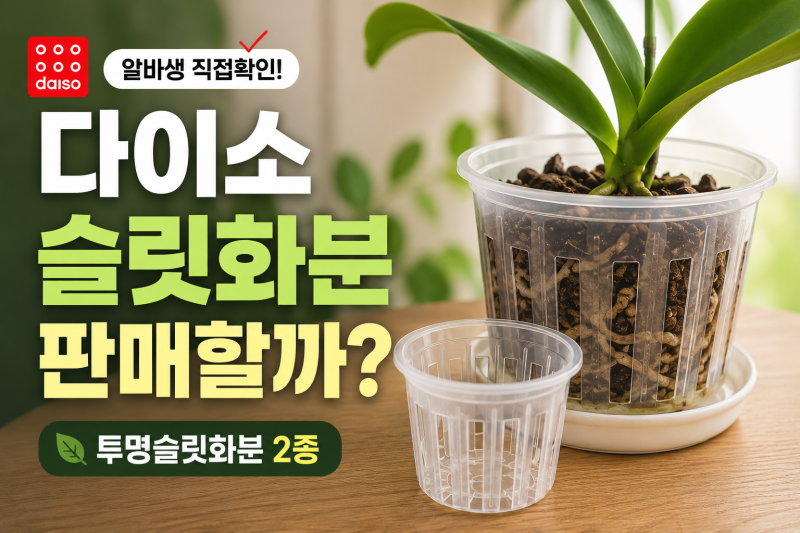 [다이소 알바생 직접확인] 다이소 슬릿화분 판매할까?(투명슬릿화분)