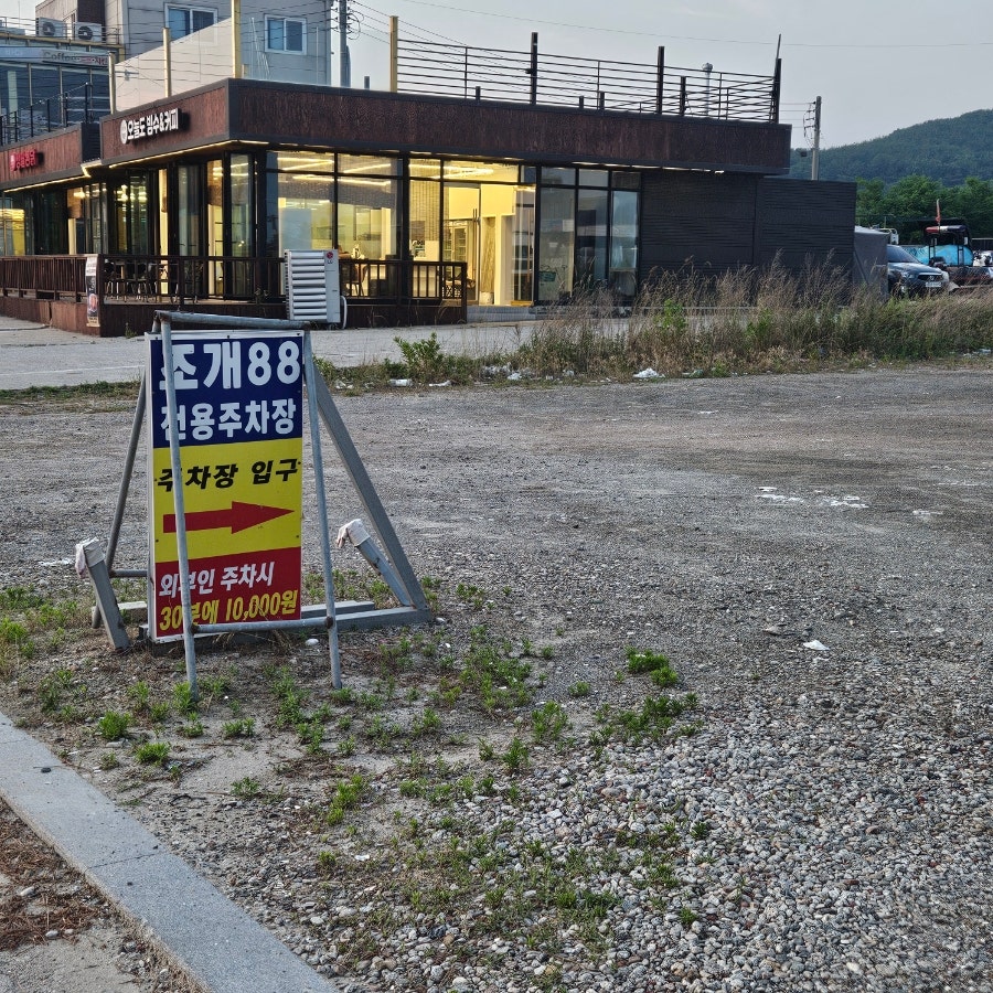 조개88 사진 4