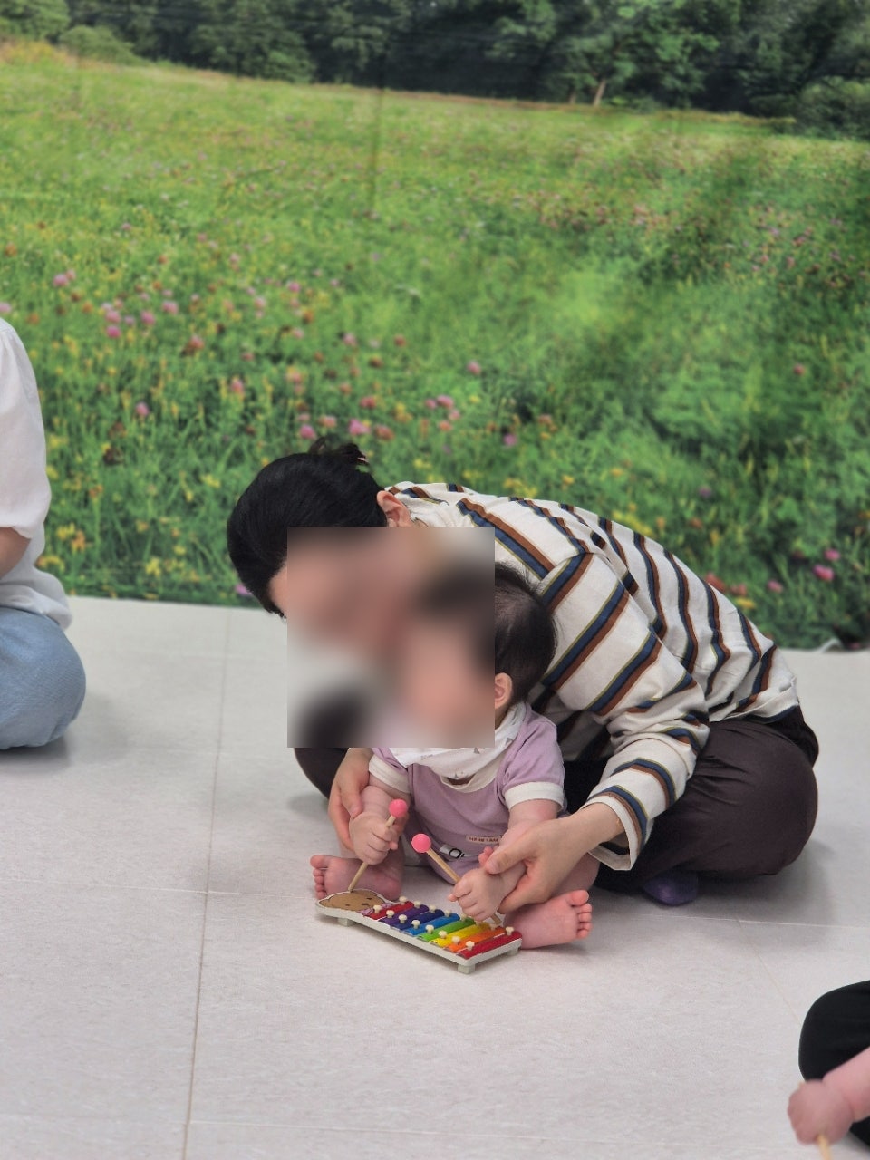 양떼 사진 5