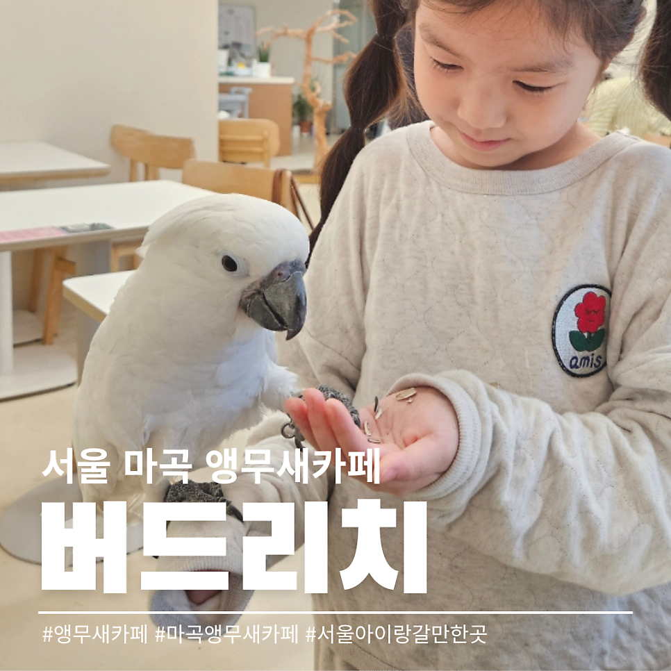 버드리치 사진 1