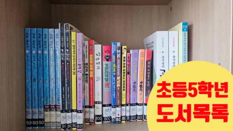 [베프의 도서관 #17] 초등 5학년 남자아이 책 추천 | 전략삼국지·초한지·코드네임R·건방이의....