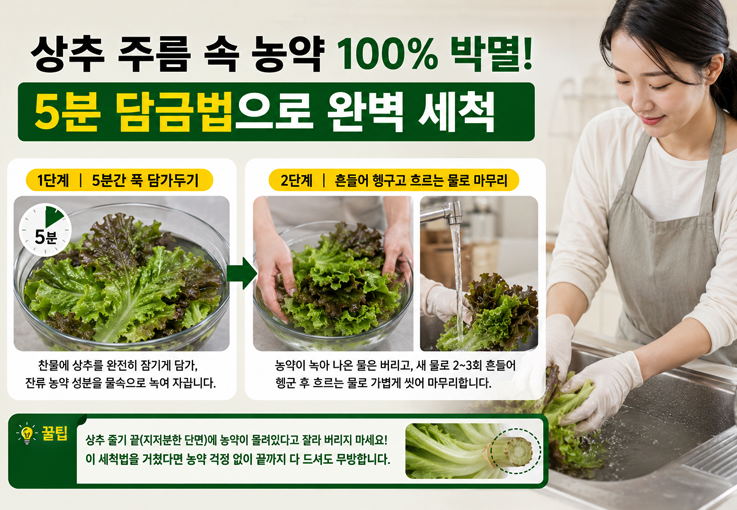 상추, 고추, 오이 쌈채소 씻는법! 식초 베이킹소다 대신 잔류 농약 제거하는 과학적 세척법
