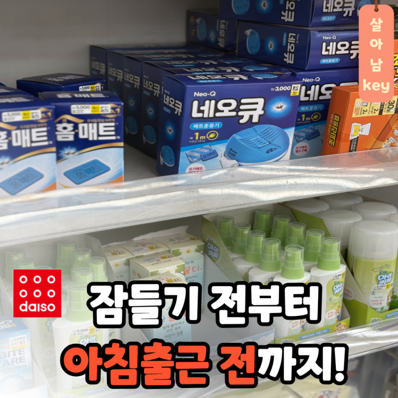 방충망부터 침실까지... 다이소 모기퇴치템 조합 괜찮네요