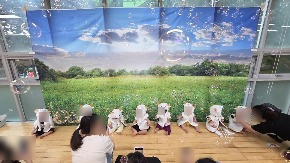양떼 사진 1