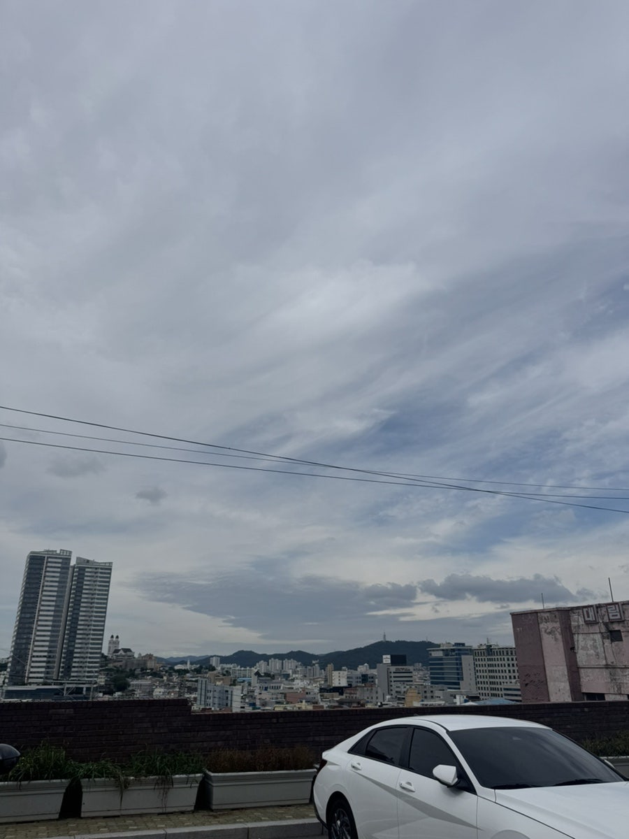 측후동19번지 사진 2