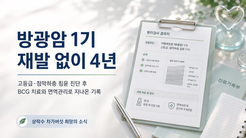 방광암 완치 사례, 방광암 1기 BCG와 면역관리로 재발 없이 4년을 지나온 이야기 | 희망의 소....
