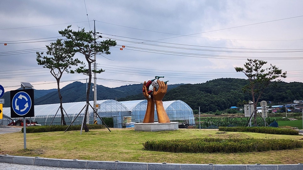 면사랑 사진 5