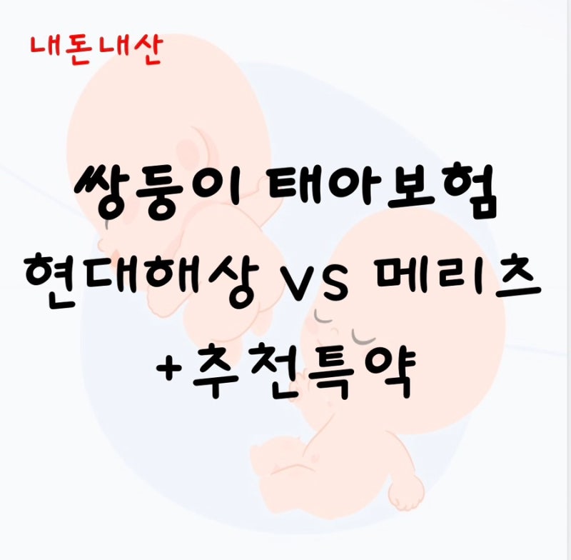 내돈내산 쌍둥이 태아보험 가입 후기 (특약, 보험료, 거절사유, 필요서류)