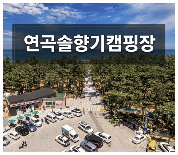 연곡솔향기캠핑장 예약 방법 카라반 글램핑 명당 사이트