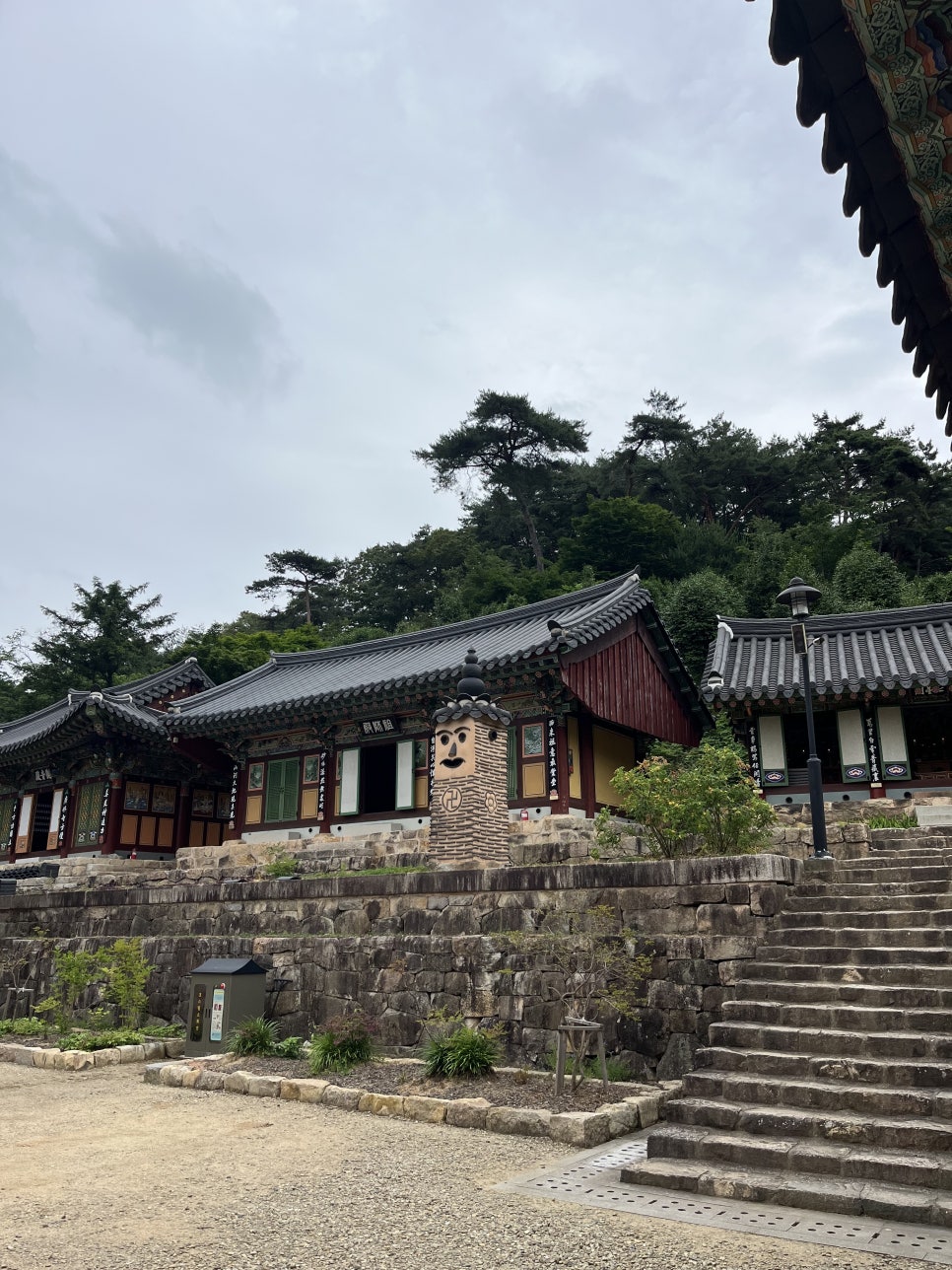 보리향기 사진 3