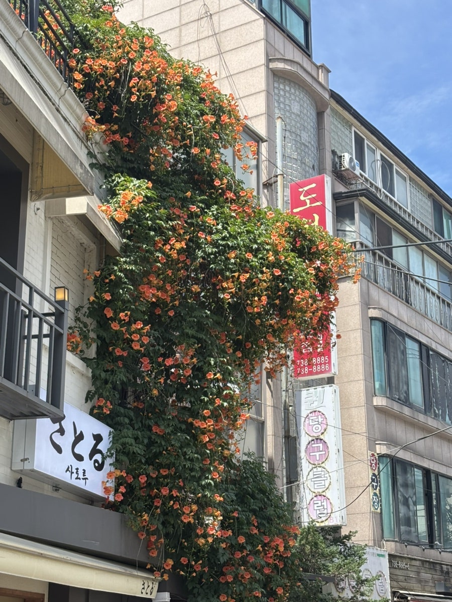 퀴진라끌레 사진 2