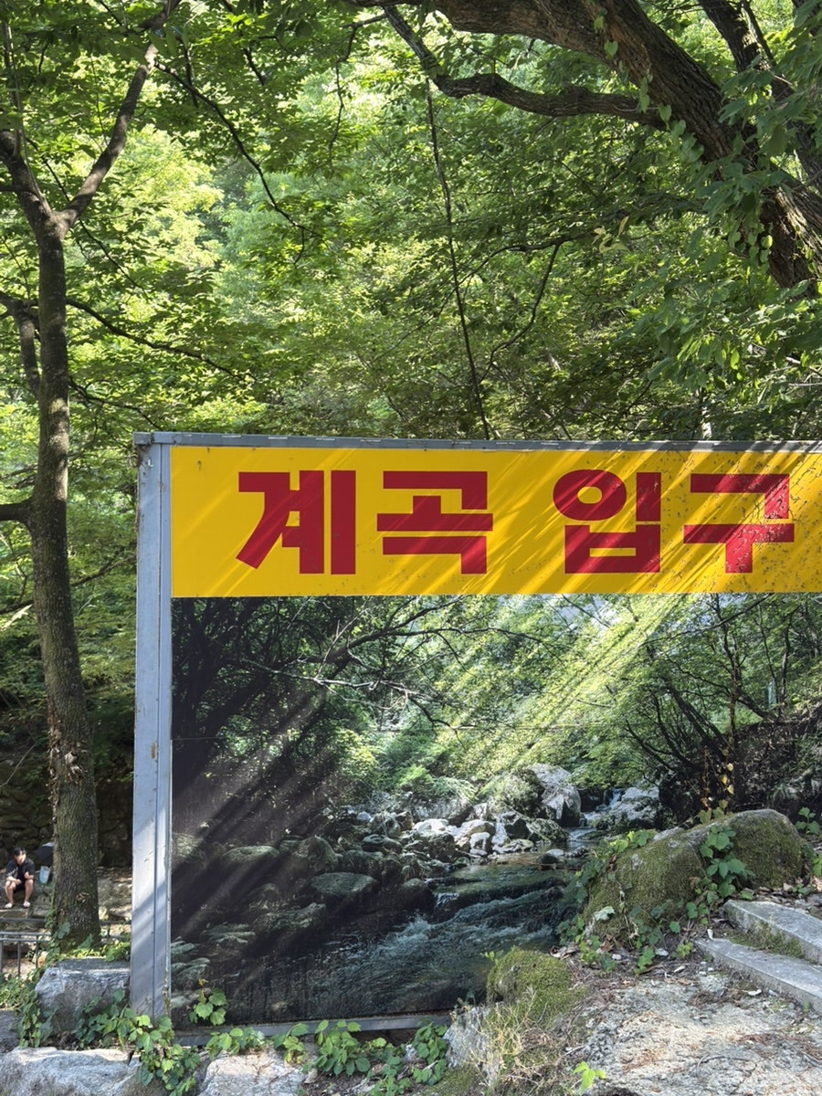 전주식당 사진 3