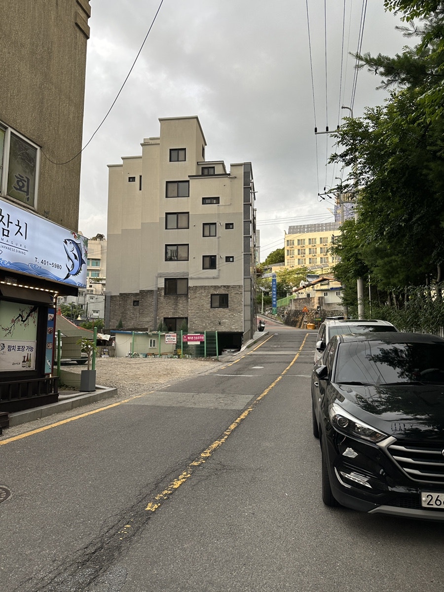 주노애참치 사진 2