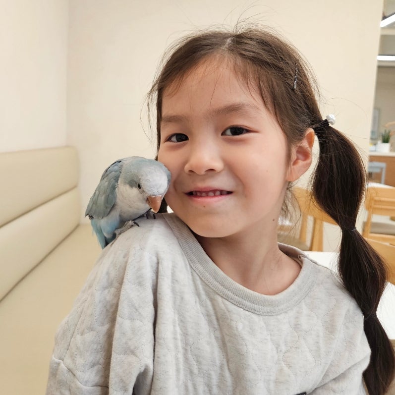 버드리치 사진 3