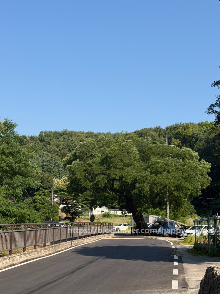 산골보리밥 사진 1