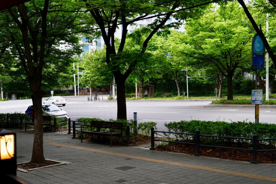 부원숯불막창 사진 5
