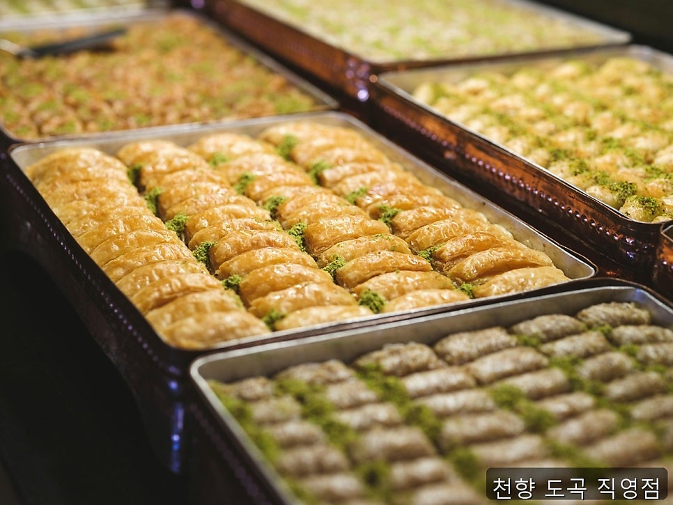 천향 사진 1