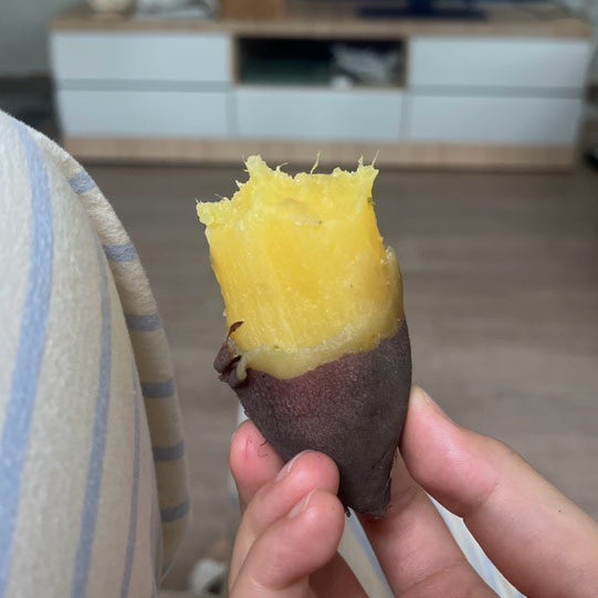 인덕션으로 밤고구마 맛있게 삶는 법.
