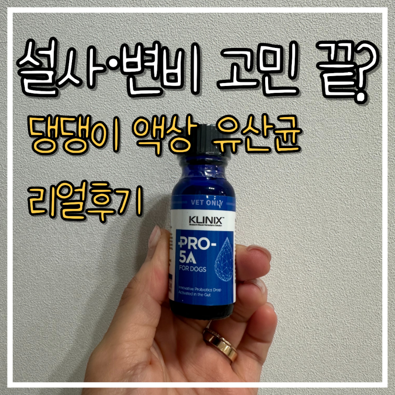 강아지 액상 유산균 추천! 녹십자 클리닉스 PRO-5A 직접 먹여본 후기
