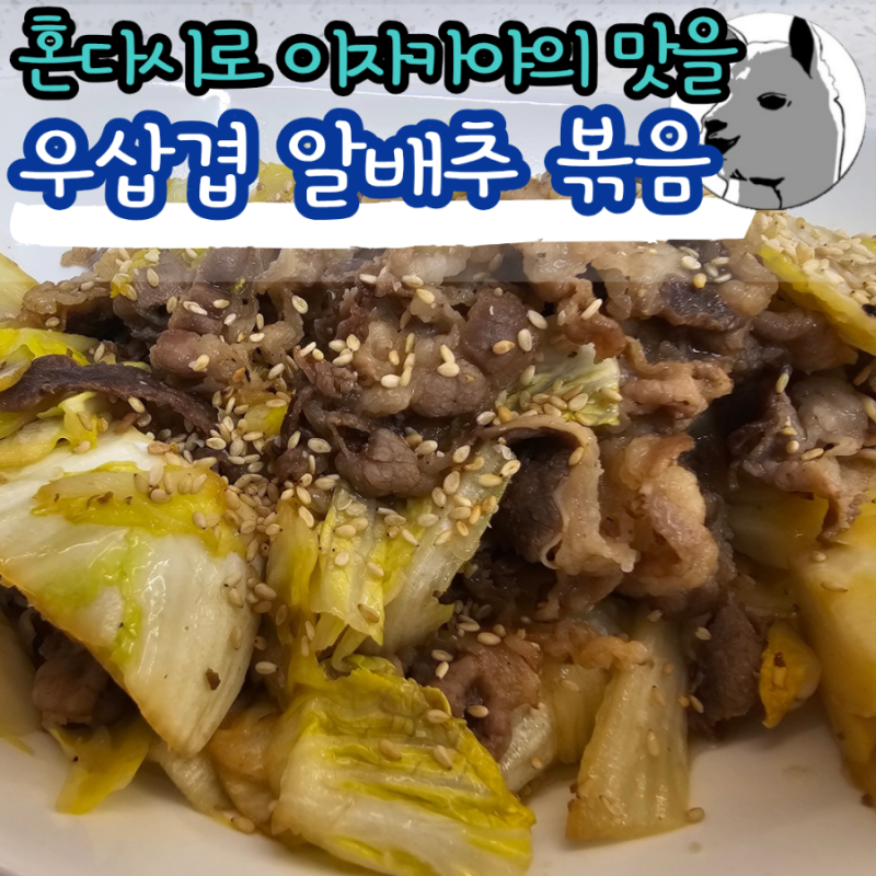 혼다시로 이자카야 메인 메뉴 만들기 우삼겹 알배추 볶음 레시피