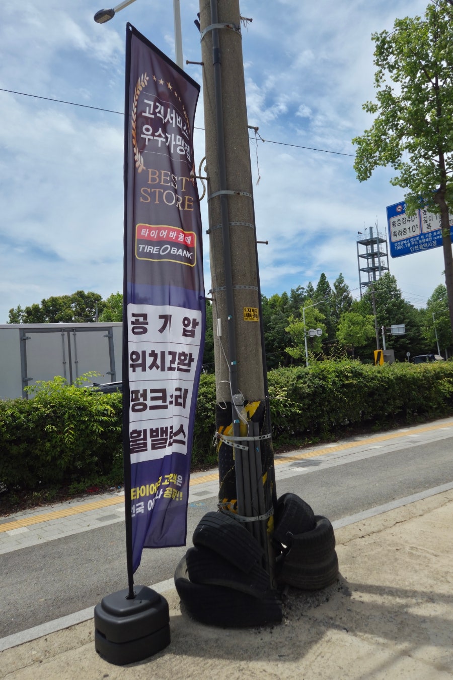 삼관왕장어 사진 5